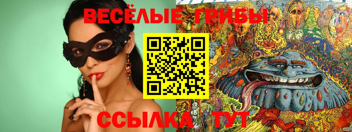 Асино  Галлюциногенные грибы Magic Shrooms  Вход с VPN  купить закладку  Галлюциногенные грибы мицелий 